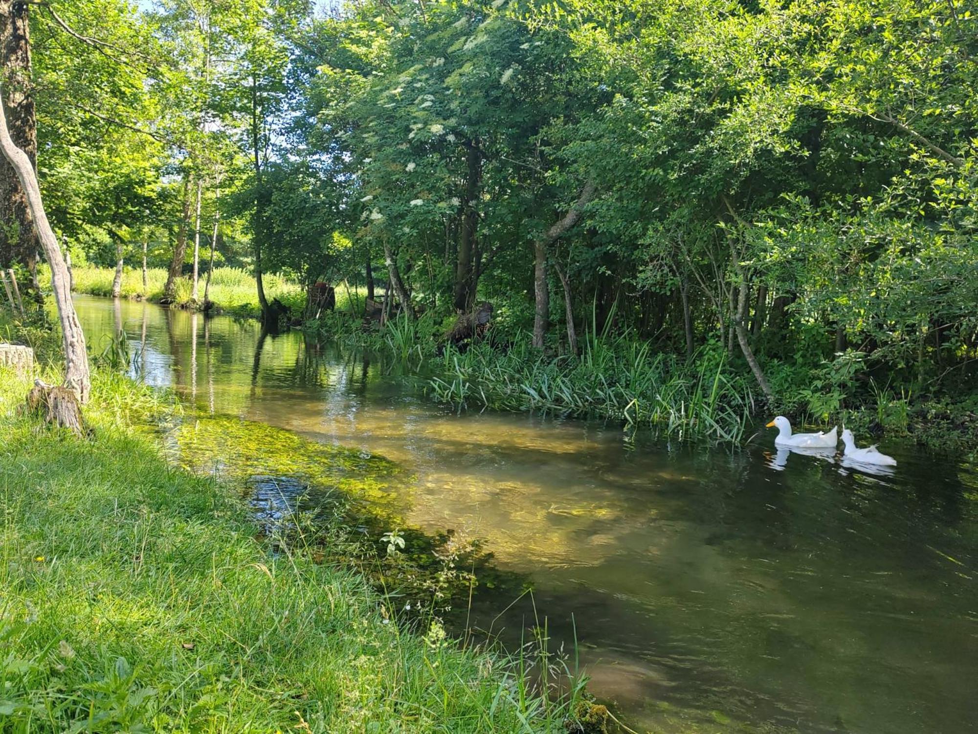 Stari Mlin Hotel Korenica Kültér fotó